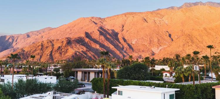 仙人掌酒店(The Cactai)图片