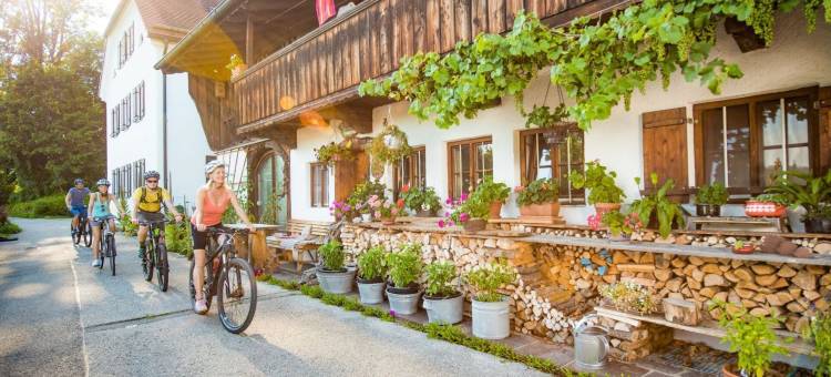 阿尔特帕斯特酒店(Hotel Alte Post)图片