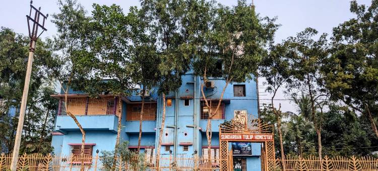 孙德尔本郁金香民宿(Sundarban Tulip Homestay, Pakhiralay, WB)图片