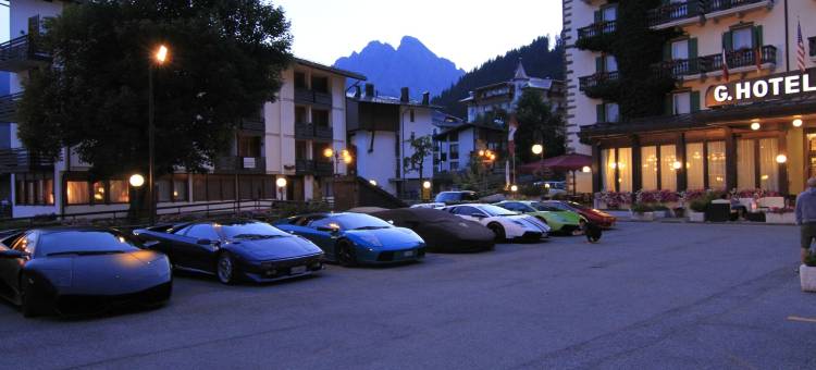 阿尔卑斯大酒店(G. Hotel des Alpes (Classic since 1912))图片