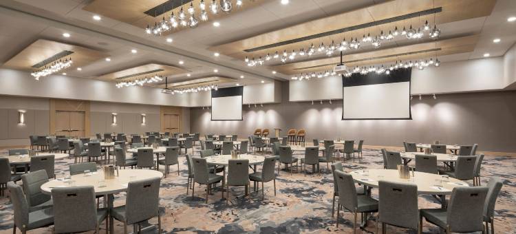 坦佩威斯汀酒店(The Westin Tempe)图片