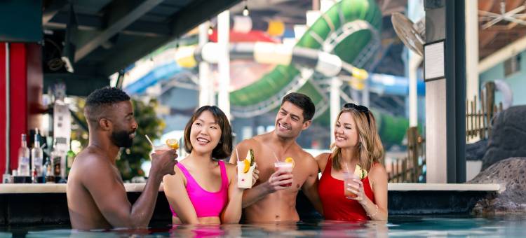 凯莫贝克旅馆及水族馆室内水上乐园(Camelback Lodge & Aquatopia Indoor Waterpark)图片