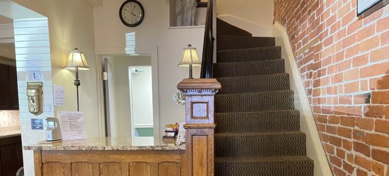 绿洲宾馆(Oasis Guest House)图片