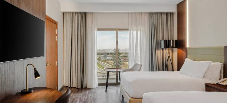 希尔顿阿迪斯亚贝巴机场逸林酒店(DoubleTree by Hilton Addis Ababa Airport)图片