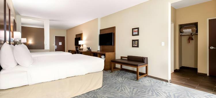 南奥斯汀舒适套房酒店(Comfort Suites - South Austin)图片