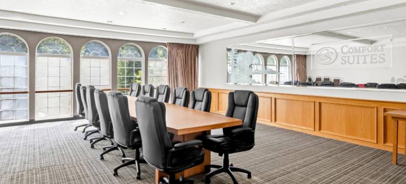 克拉克马斯舒适套房酒店(Comfort Suites)图片