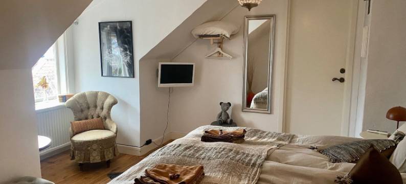 肯纳尔维朗旅馆(Pensionat Kanalvillan)图片