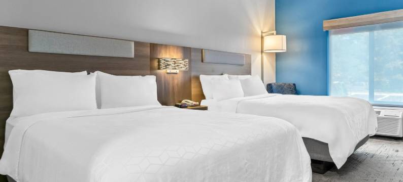 智选假日套房酒店底特律 - 诺维(Holiday Inn Express & Suites DETROIT-NOVI by IHG)图片