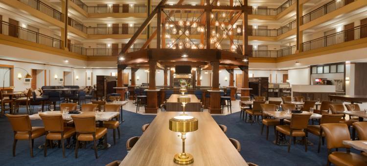 丹佛国际机场希尔顿大使套房酒店(Embassy Suites by Hilton Denver International Airport)图片