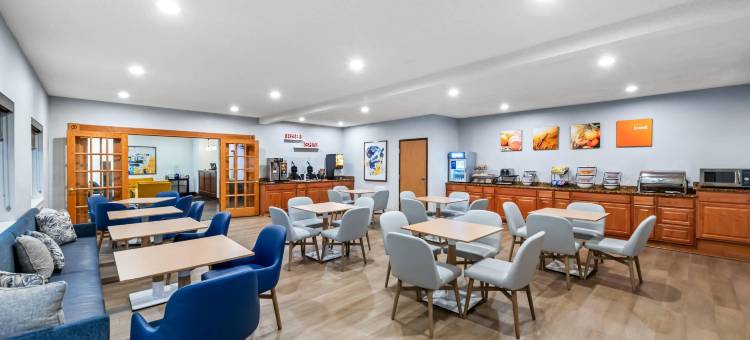 舒适酒店(Comfort Inn)图片