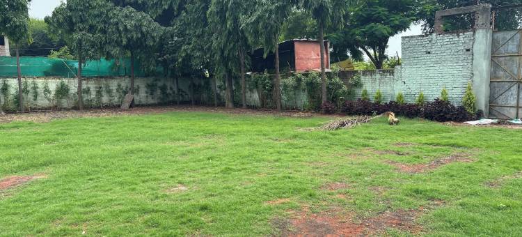 达娜拉克希米幸福酒店(Hotel Dhana Lakshmi Bliss)图片