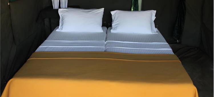 威尔帕图大型游戏酒店-生态团队(Big Game - Wilpattu by Eco Team)图片