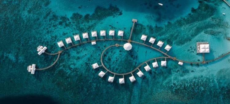 马尔代夫图杜福史钻石度假村及水疗中心(Diamonds Thudufushi Maldives Resort & SPA)图片