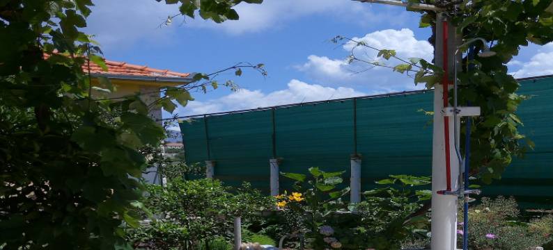 Holiday Home Kata - Two-Bedroom Holiday Home with Balcony图片