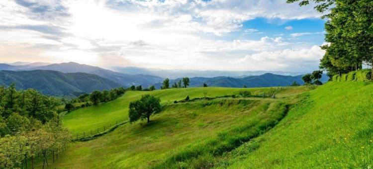 Scenic Stay near Florence图片