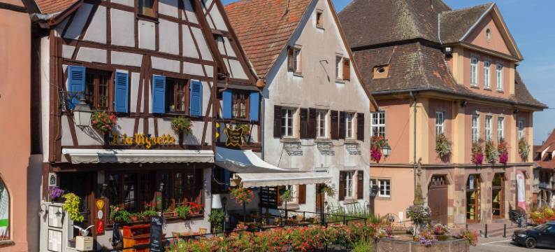 Apartment in Alsace near Haut-Koenigsbourg图片