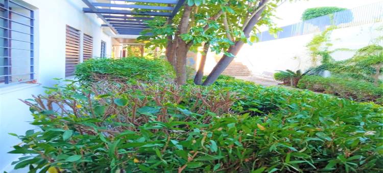 Sunny Garden Apartment图片