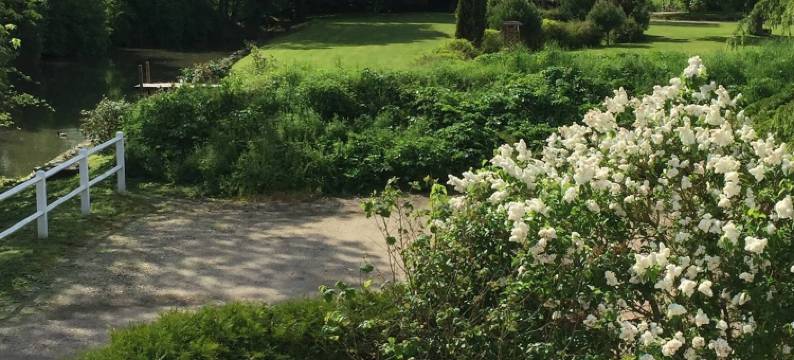 拉苏克雷尔(La Sucrerie)图片