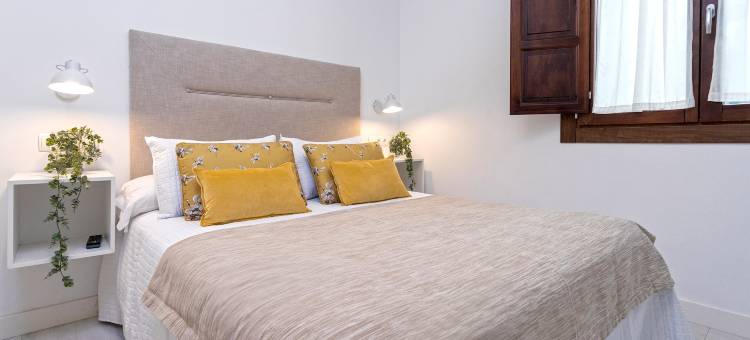 Stunning one-bedroom apartment near the Cathedral. Zacatin 201图片