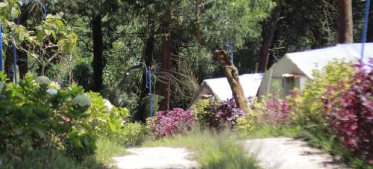 Dieng Glamping syari'ah图片