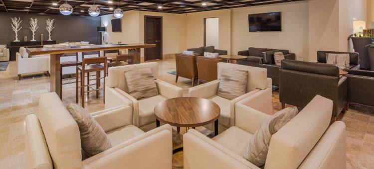 洲际酒店集团蒙特雷山谷假日酒店(Holiday Inn Monterrey Valle)图片