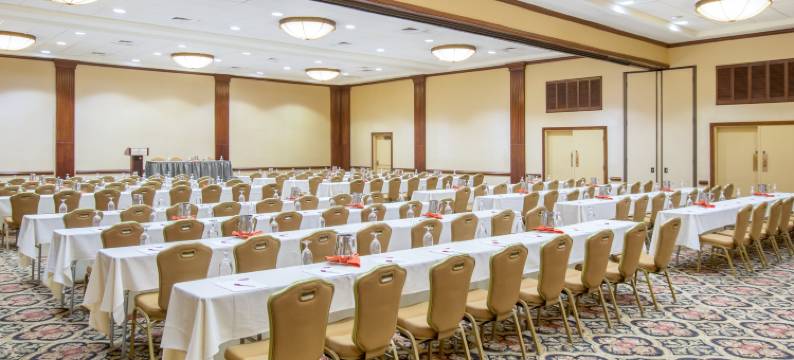 皇冠假日- 圣地亚哥(Crowne Plaza SAN DIEGO - MISSION VALLEY by IHG)图片