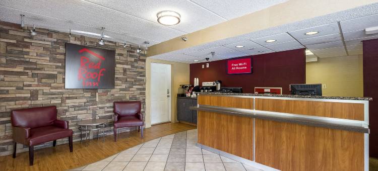 坦帕-布兰登红顶酒店(Red Roof Inn Tampa - Brandon)图片