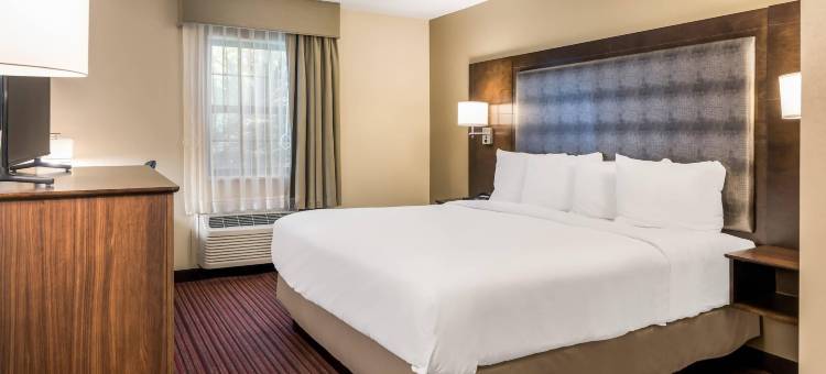 密歇根格兰维尔 - 大急流城西丽怡酒店(Country Inn & Suites by Radisson, Grandville-Grand Rapids West, MI)图片