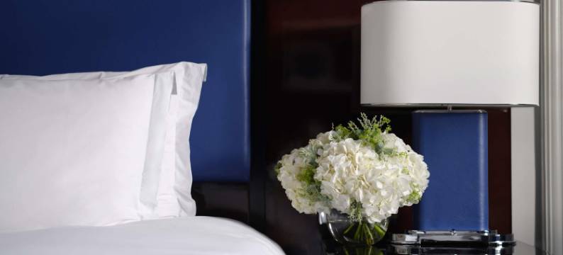 伦敦圣詹姆斯索菲特酒店(Sofitel London St James Hotel)图片