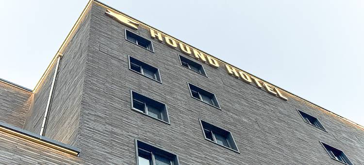 猎犬酒店-全州德津分店(Hound Hotel Jeonju Deokjin)图片
