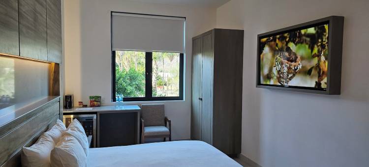 阿文图拉斯酒店(Aventuras Hotel)图片