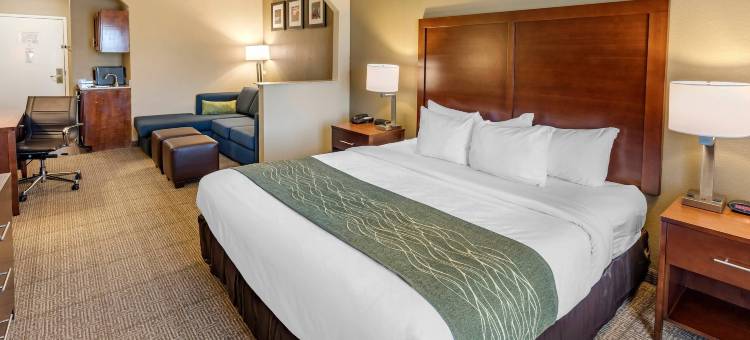 林肯I-20舒适套房酒店(Comfort Inn & Suites Lincoln I-20)图片