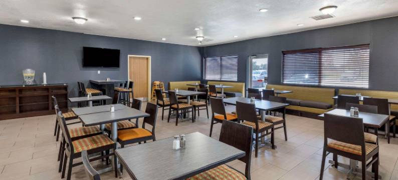丹佛机场凯艺套房酒店-盖特威公园(Quality Inn and Suites Denver Airport - Gateway Park)图片