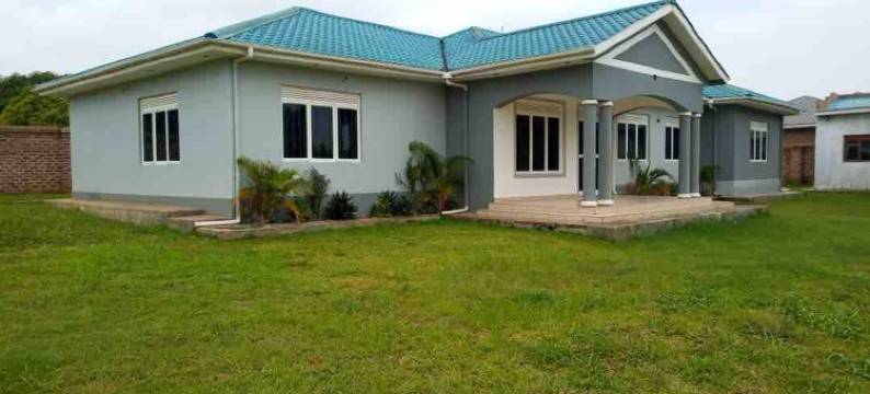 Kareber Deluxe - Gulu图片