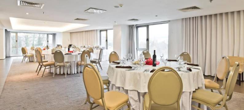 圣若昂达马德拉郁锦香酒店(Golden Tulip Sao Joao Da Madeira Hotel)图片