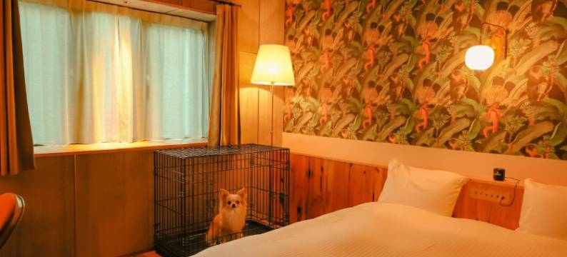 Hotel Paradiso图片