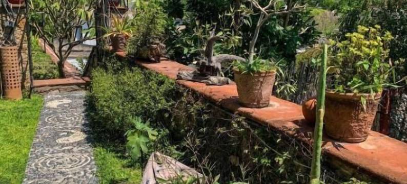 瓜穆奇尔之家(La Casa del Guamúchil)图片