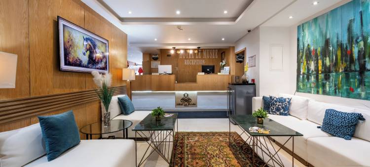 博物馆酒店(Hotel le Musée)图片