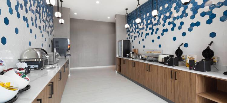 拉昆塔温德姆酒店及套房阿森斯I-65(La Quinta Inn & Suites by Wyndham Athens I-65)图片