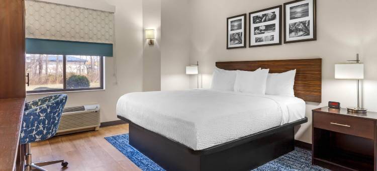 机场舒眠酒店(Sleep Inn Greensboro Airport)图片