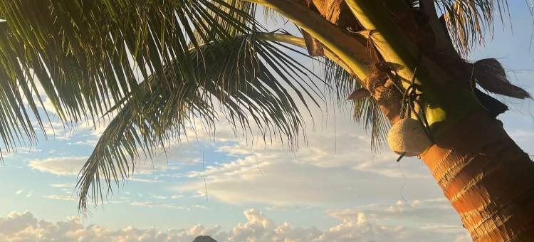 树顶海滨小屋(Treetop Beachfront Cabana)图片