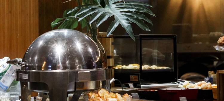 戈亚尼亚舒适酒店(Comfort Hotel Goiânia)图片