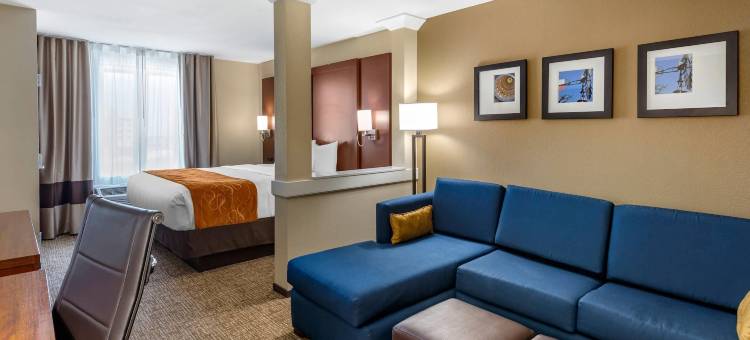 米德兰西舒适套房酒店(Comfort Suites Midland West)图片