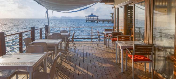 海豚全包式酒店(Decameron Los Delfines - All Inclusive)图片