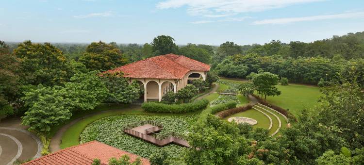 The Fern 贾姆布戈达巴努森林水疗度假村，Series by Marriott(Bhanu The Fern Forest Resort & Spa Jambughoda, Series by Marriott)图片
