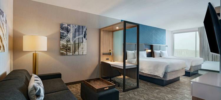 达拉斯理查森大学区SpringHill Suites酒店(SpringHill Suites Dallas Richardson/University Area)图片