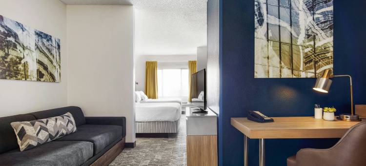 坦佩亚利桑那米尔斯购物中心万豪SpringHill酒店(SpringHill Suites Tempe at Arizona Mills Mall)图片