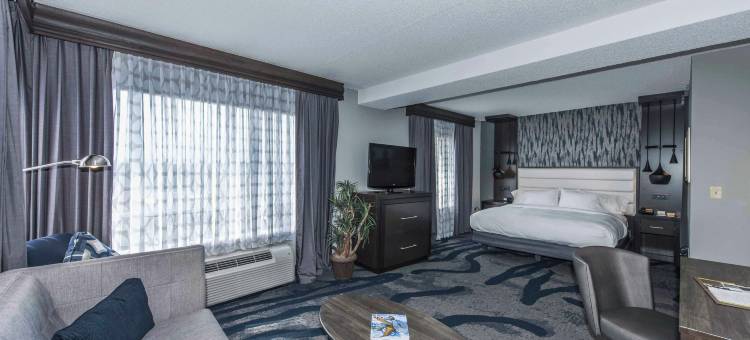 北查尔斯顿会议中心希尔顿逸林酒店(DoubleTree by Hilton North Charleston Convention Center)图片