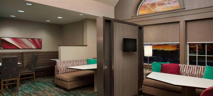 底特律诺维Residence Inn 酒店(Residence Inn Detroit Novi)图片