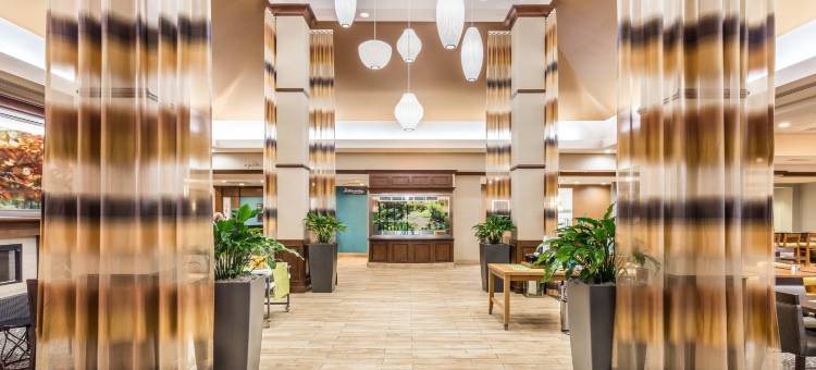 盖恩斯维尔希尔顿花园酒店(Hilton Garden Inn Gainesville)图片